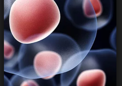 Houston Stem Cell Medical Center