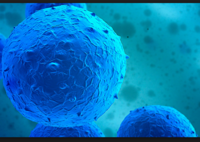 Michigan Stem Cell Institute