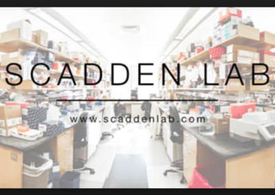 Scadden David MD
