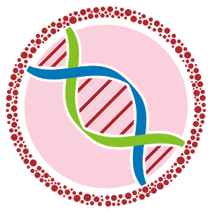 Boston Stem Cell Center